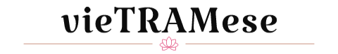 vieTRAMese